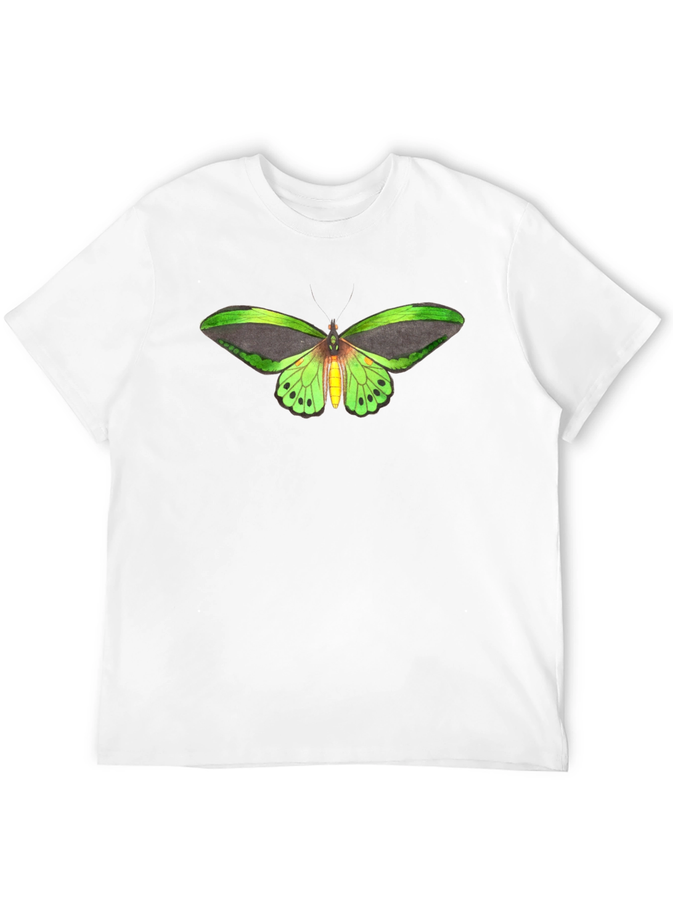 Butterfly Graphic Tee - Black Cotton T-Shirt