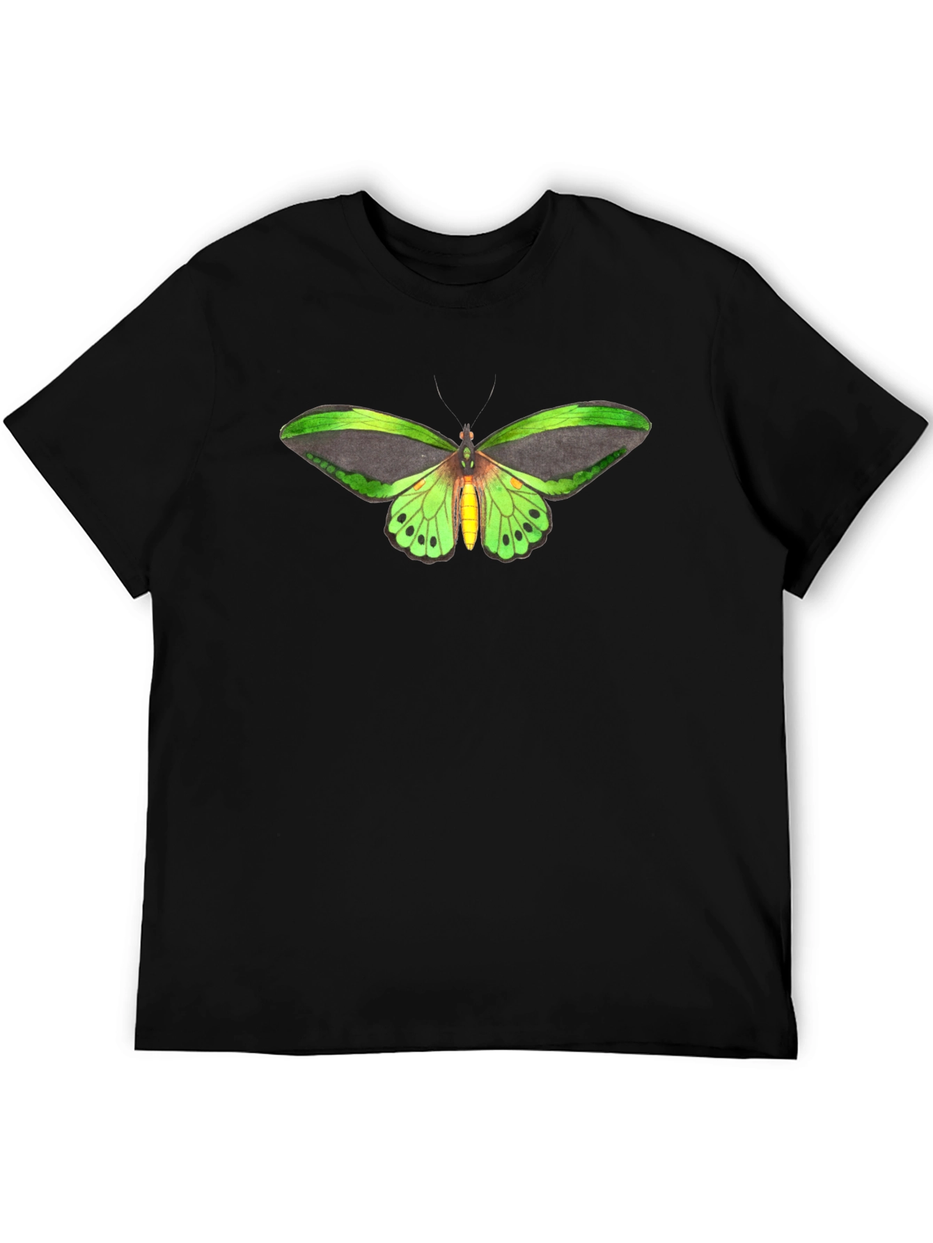 Butterfly Graphic Tee - Black Cotton T-Shirt