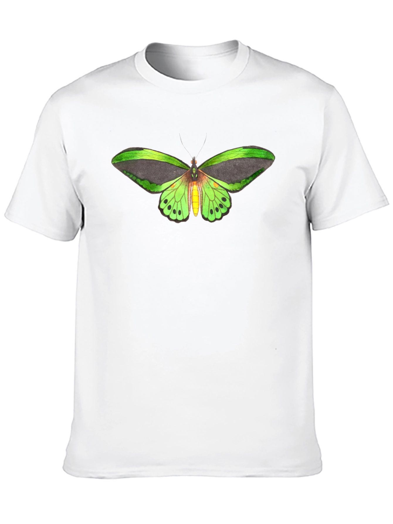 Butterfly Graphic Tee - Black Cotton T-Shirt