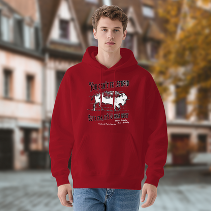 Vintage Buffalo Funny Slogan Cozy Red Hoodie, Casual Statement Top