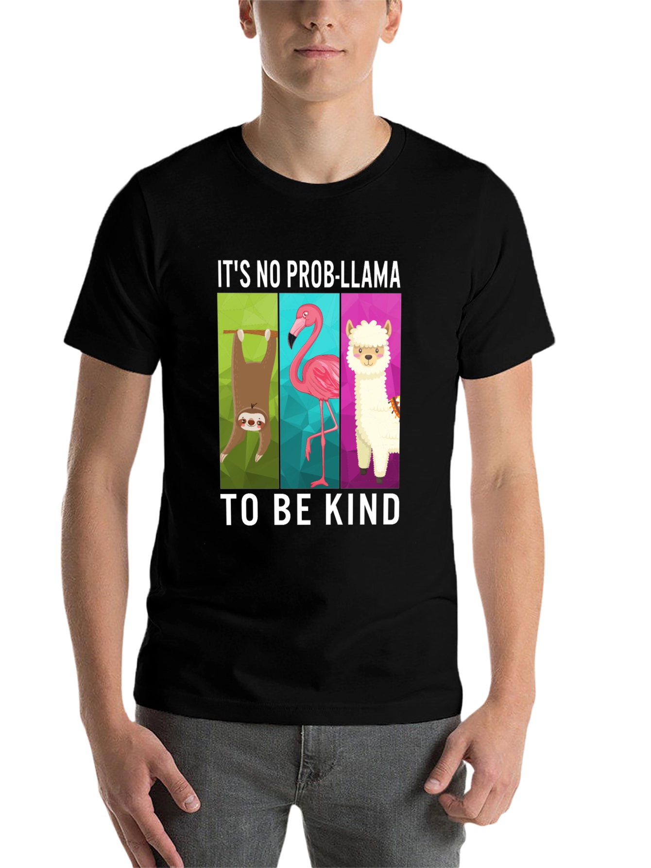 Its No Prob-Llama Graphic T-Shirt