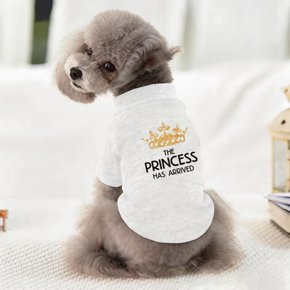 The Princess Has Arrived Golden Crown Pet Sweater