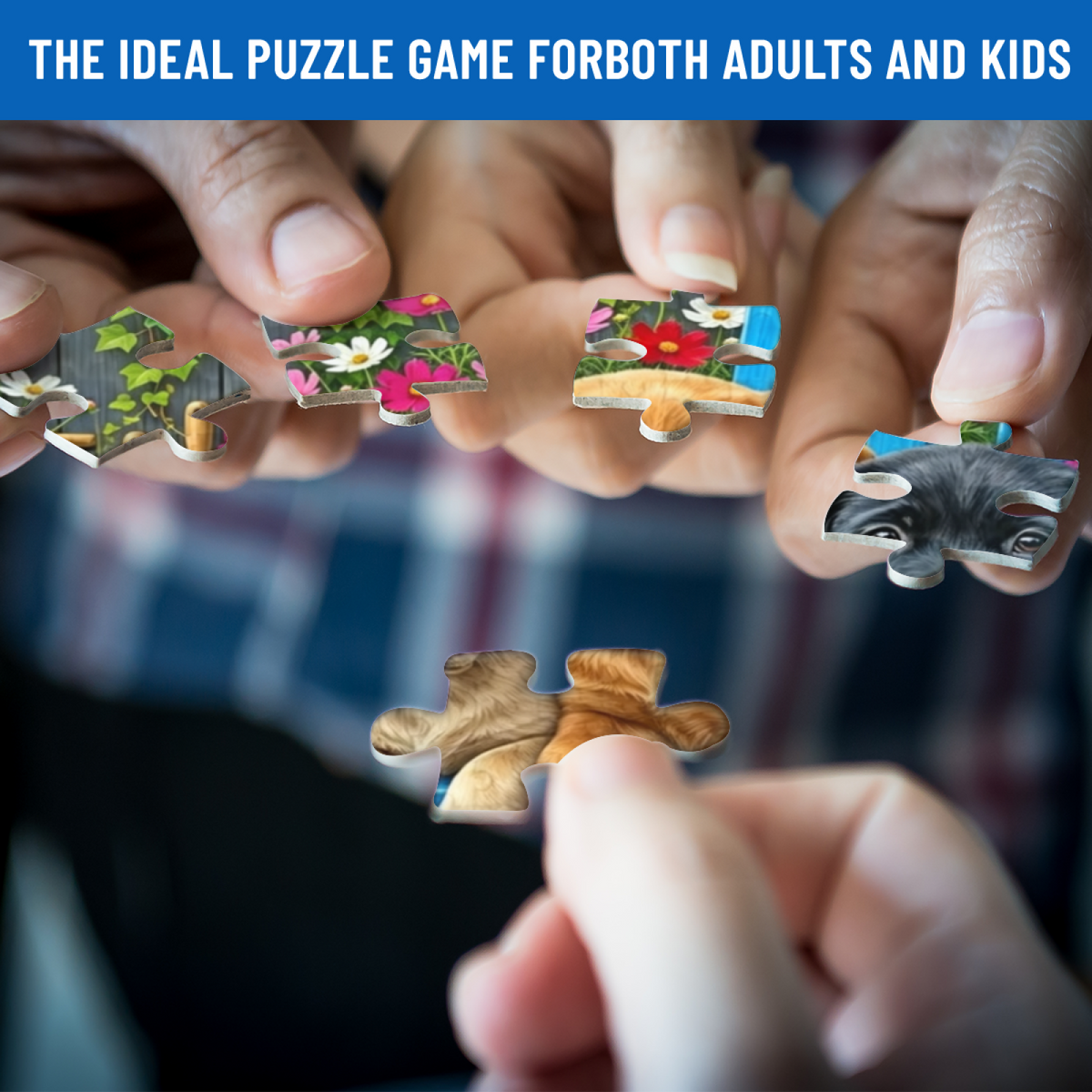 Three Adorable Labrador Puppies Rest On Blue Garden Bench Puzzle | 300/500/1000 Pieces