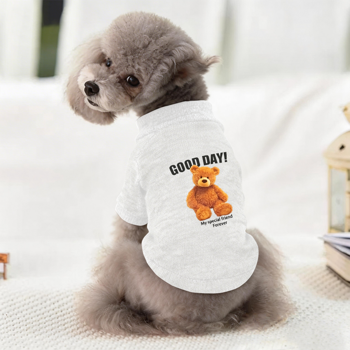Good Day Teddy Bear Best Friend Pet Sweater