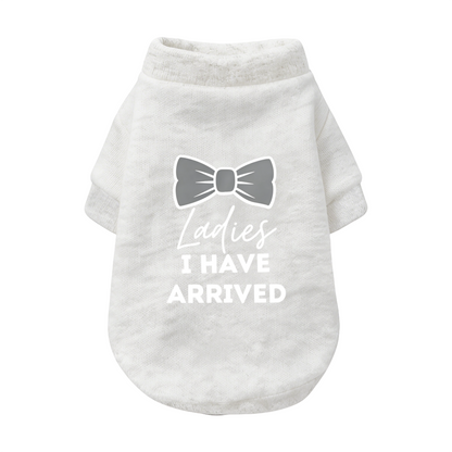 Bow Tie Ladies I Have Arrived Handsome Boy Dog Cardigan Sweater