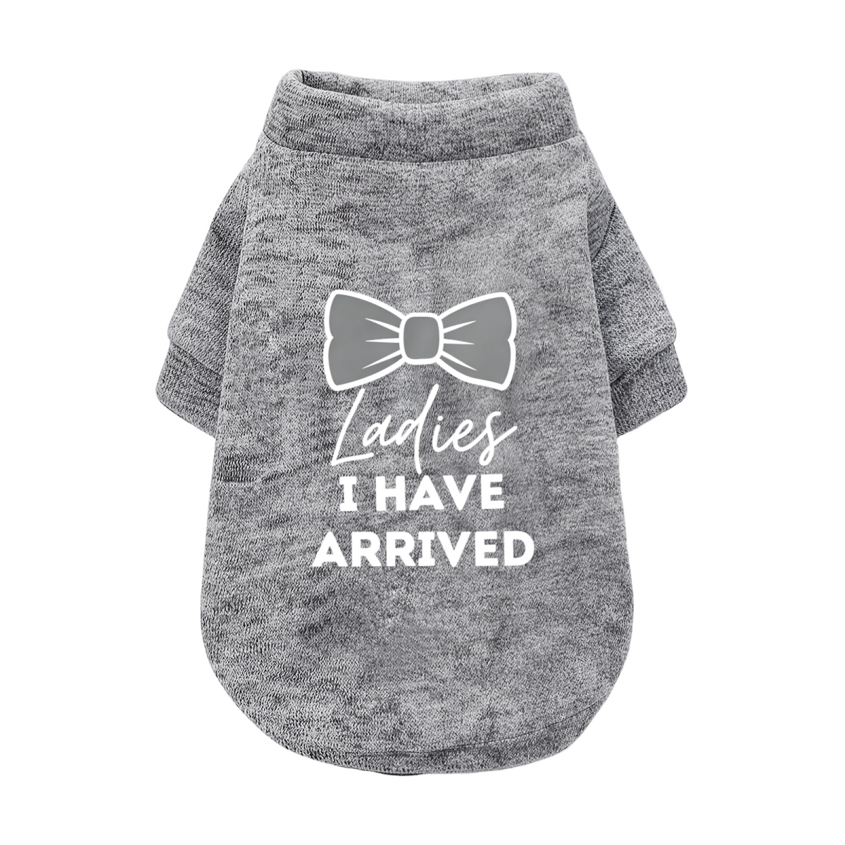 Bow Tie Ladies I Have Arrived Handsome Boy Dog Cardigan Sweater