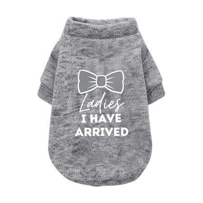Bow Tie Ladies I Have Arrived Handsome Boy Dog Cardigan Sweater