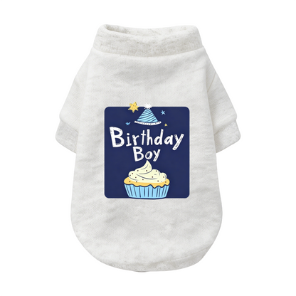 Birthday Boy Cupcake Party Pet Outfit Sweater