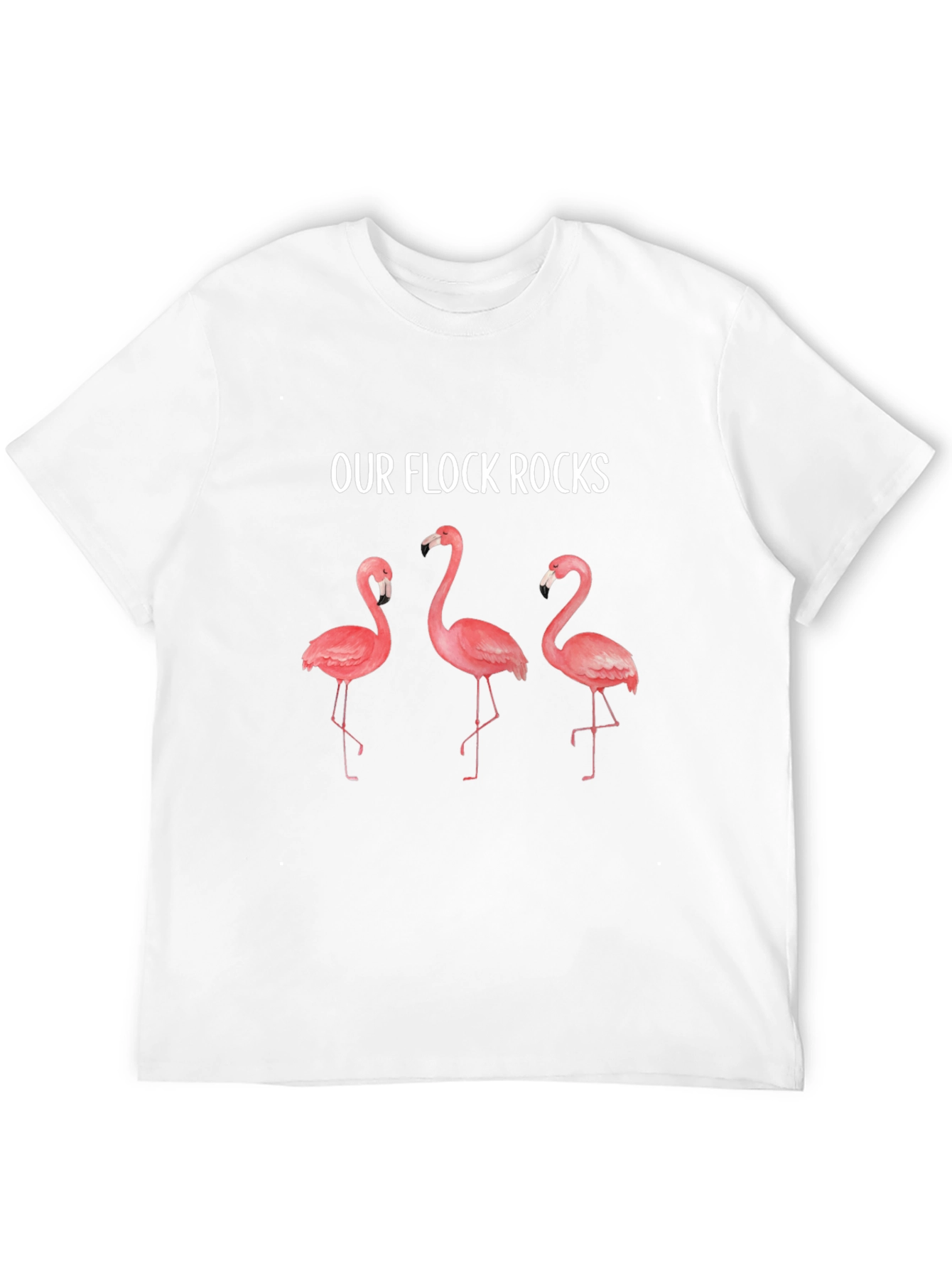 Our Flock Rocks Flamingo T-Shirt