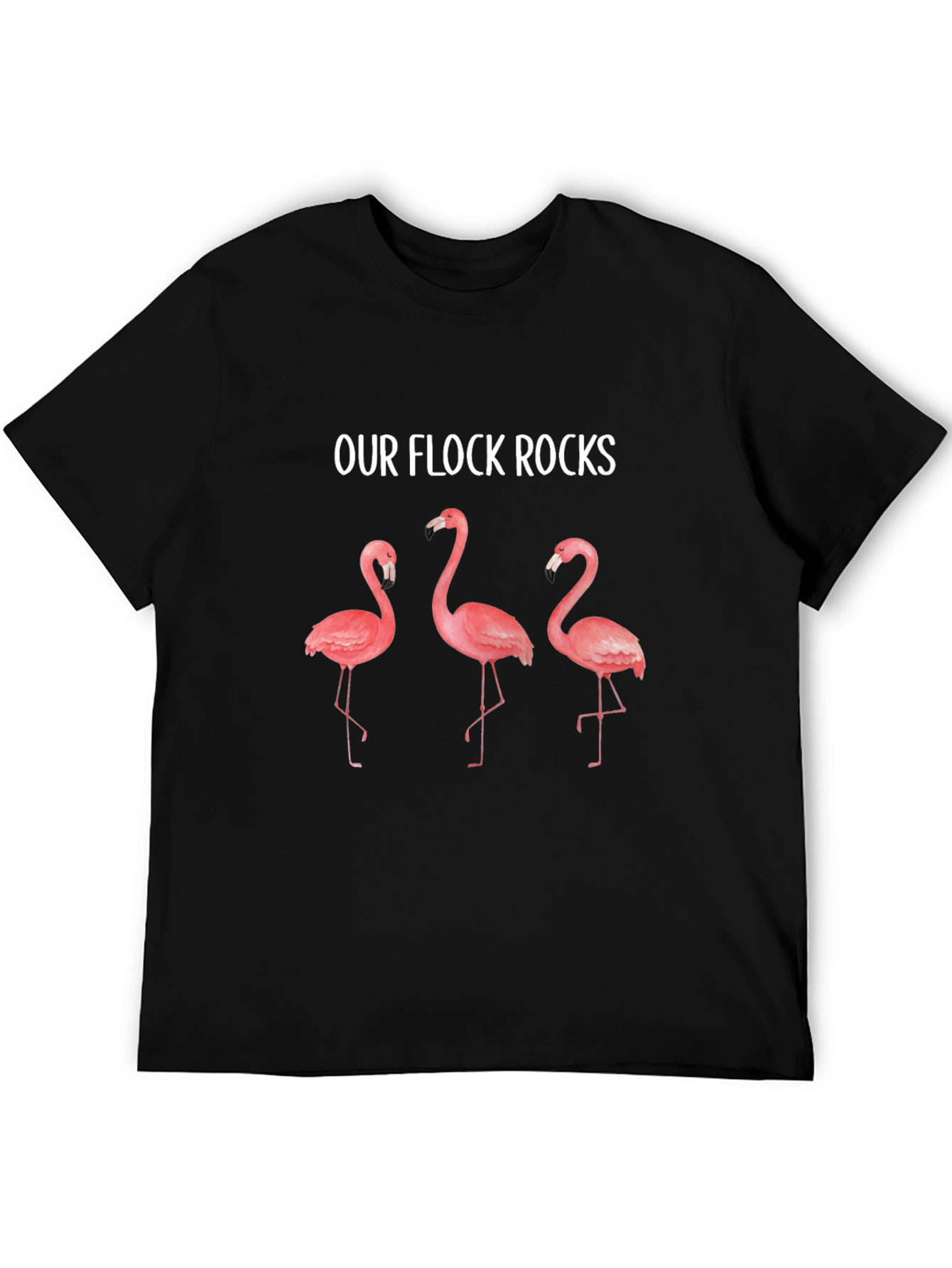 Our Flock Rocks Flamingo T-Shirt