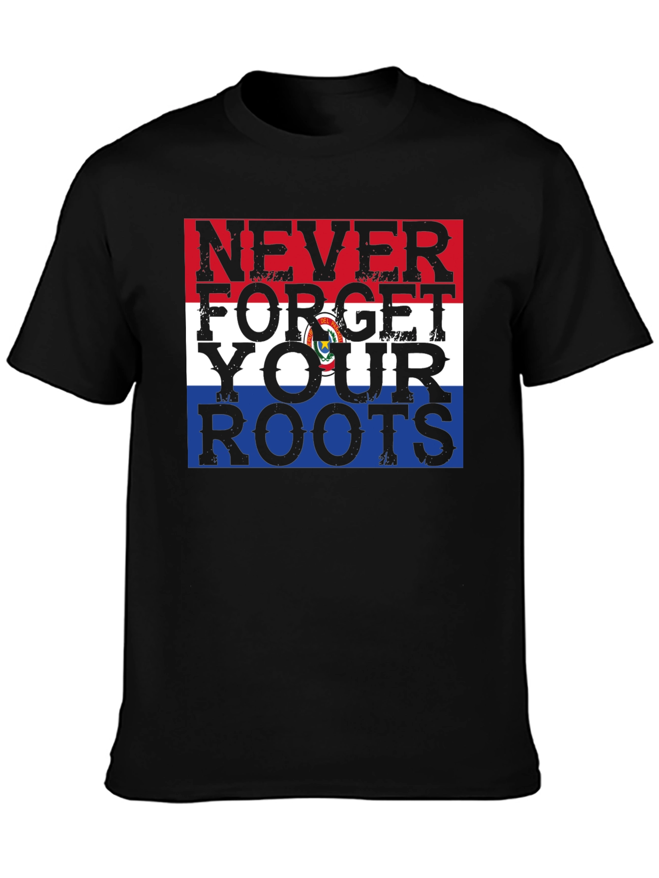 Never Forget Your Roots Paraguay Flag Graphic Tee